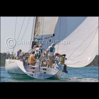 CEF8522 srgb copyrt.jpg
